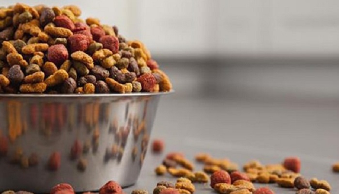 غذای آماده و صنعتی مرغ مینا