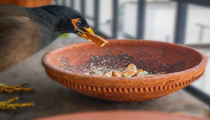 نکات نگهداری ظرف غذا و تمیز کردن آن